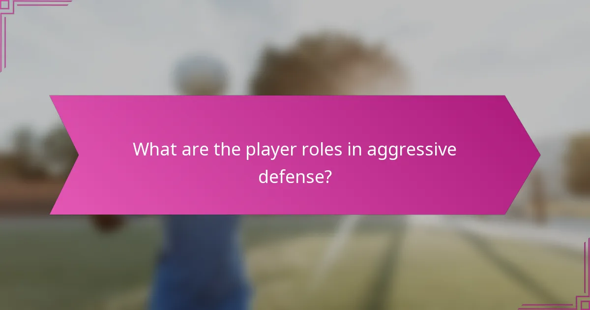 What are the player roles in aggressive defense?