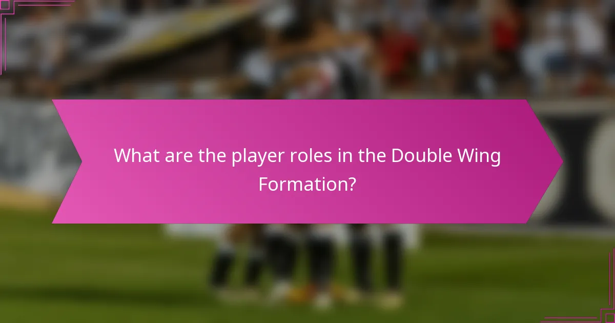 What are the player roles in the Double Wing Formation?